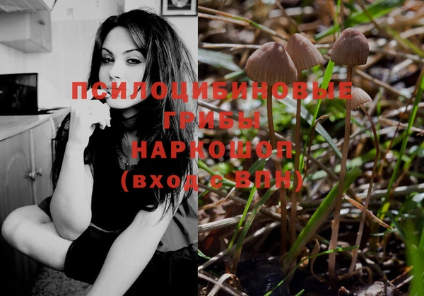ПСИЛОЦИБИНОВЫЕ ГРИБЫ Аркадак