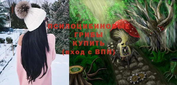 ПСИЛОЦИБИНОВЫЕ ГРИБЫ Аркадак