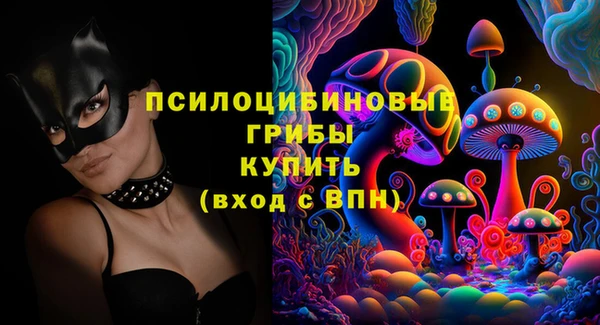 ПСИЛОЦИБИНОВЫЕ ГРИБЫ Аркадак
