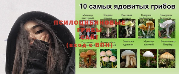 ПСИЛОЦИБИНОВЫЕ ГРИБЫ Аркадак