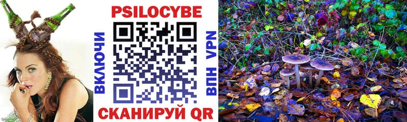 Псилоцибиновые грибы мицелий Талдом